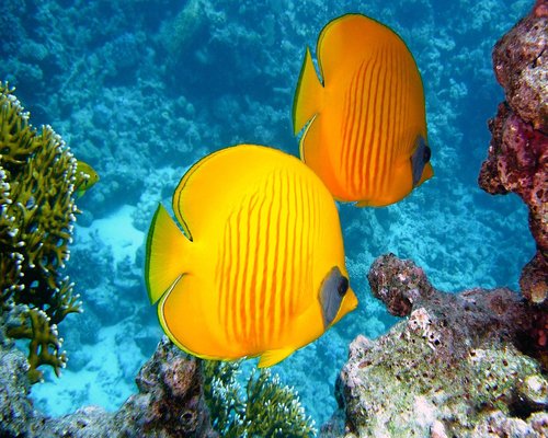 Colourful underwater station in the fictional Coral Base Explorer game